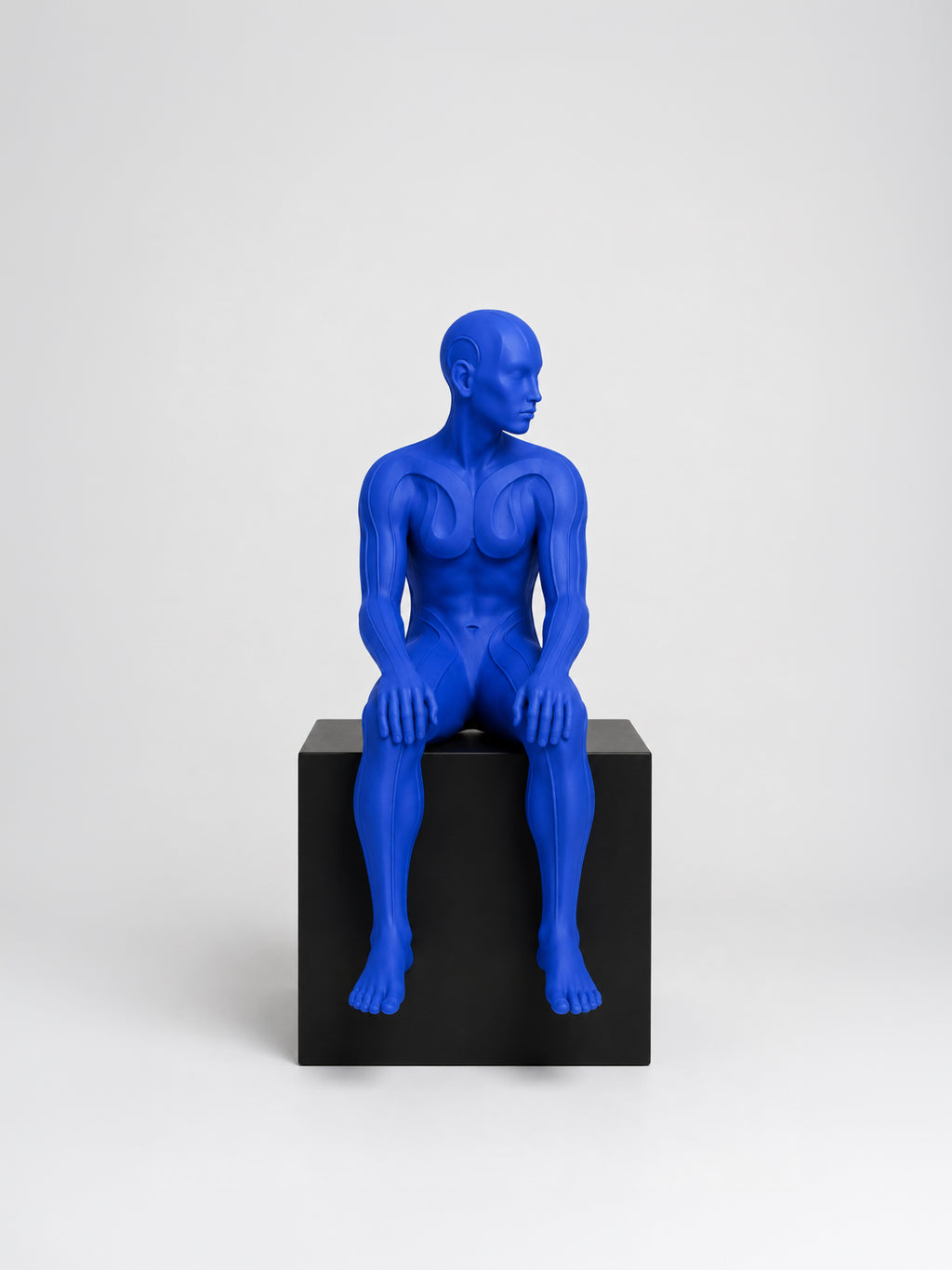 Afterflow | Heykel Obje