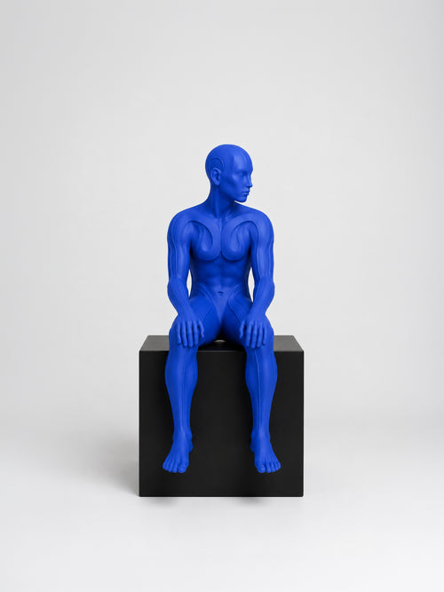 Afterflow | Heykel Obje